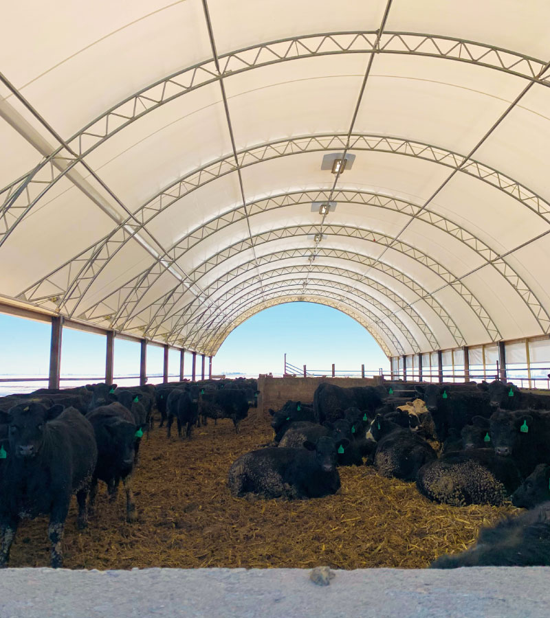 cattle barn buildings