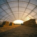 Large agricultural hoop building at sunrise with stacked hay bales and tractor inside, demonstrating efficient hay storage and ventilation in a fabric barn structure.